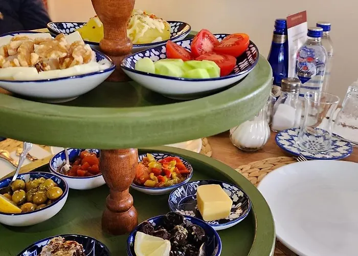 Pertevniyal Aziziye 酒店 科尼亚