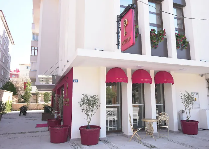 Pertevniyal Aziziye 酒店